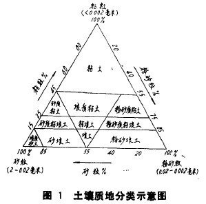 D1|(zh)طʾD