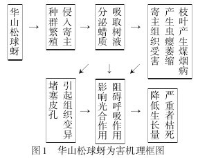 D1 Aɽ麦C(j)D